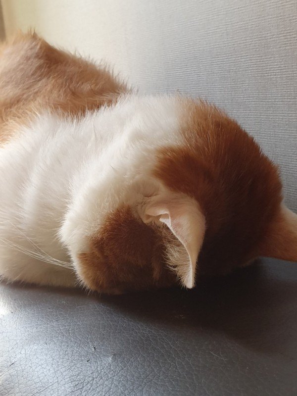 이미지 로딩중