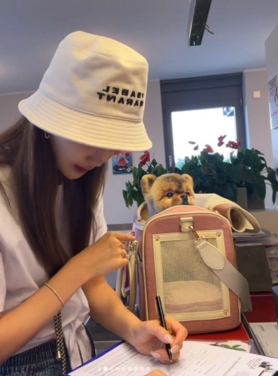 16849896096887.jpg